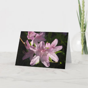 Azalea Afternoon Greeting Card