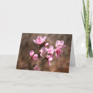 Azalea Blossoms Thank You Card
