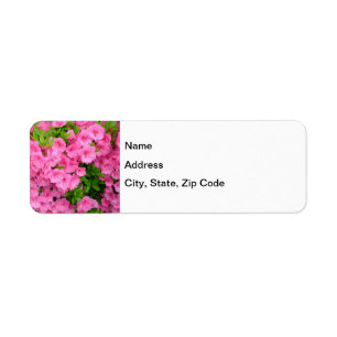 Azalea Bush Return Address Label