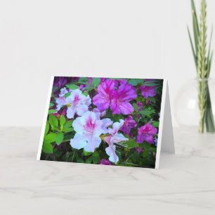 Azalea, Card