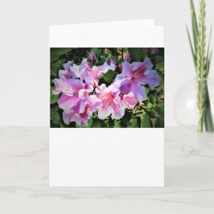 Azalea, card