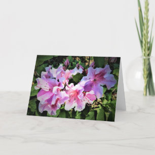 Azalea, card