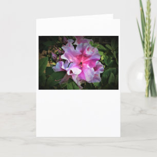 Azalea, card