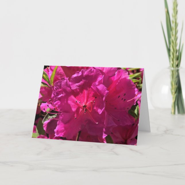 Azalea, card (Front)