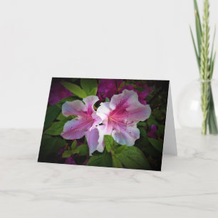 Azalea, card