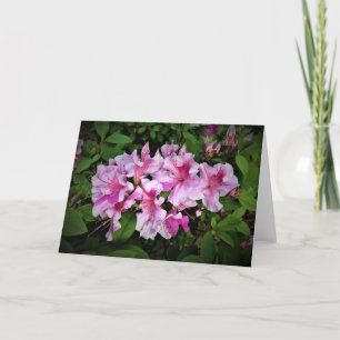 Azalea, card