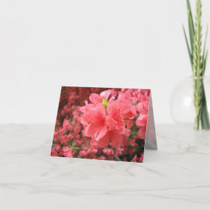Azalea Field - Note Card