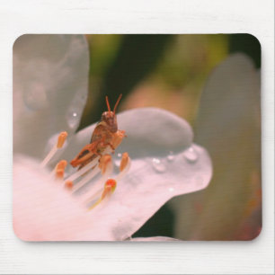 Azalea Flower And Grasshopper Mouse Pad