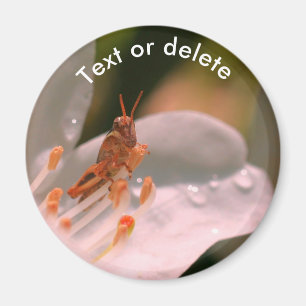 Azalea Flower And Grasshopper Personalised Magnet