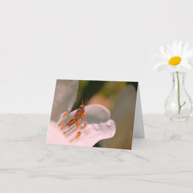 Azalea Flower And Grasshopper Personalised Note Card (Small Plant)