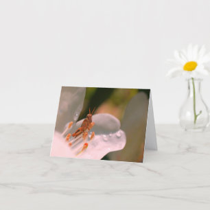 Azalea Flower And Grasshopper Personalized Note Card