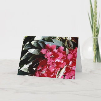 azalea flower in red holiday card