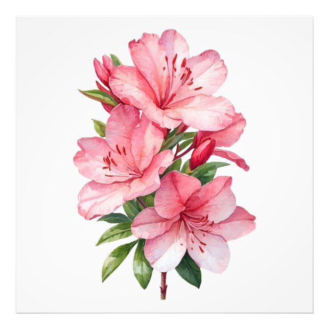 Azalea flower watercolor painting photo print (Front)