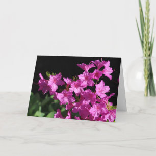 Azalea Greeting Card