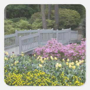 Azalea Heath Family (Ericaceae), Tulip, and Square Sticker