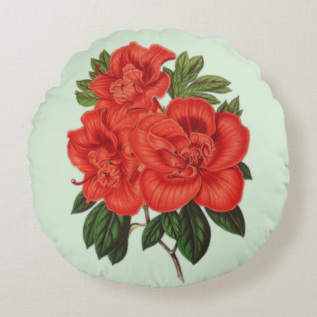 Azalea (indica) Grand Duchess  Round Cushion (Front)