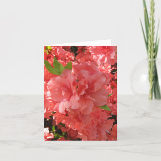 Azalea Notecard