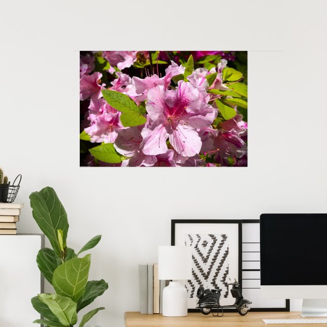 Azalea,  poster (Home Office)