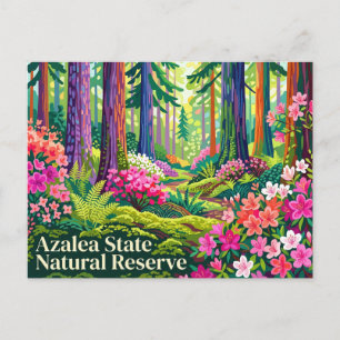 Azalea State Natural Reserve California Postcard