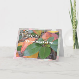 Azalea Thanksgiving Holiday Card