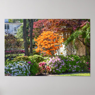 Azalea Trail Garden in Tyler, Texas Poster