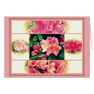 Azaleas 1950's Style