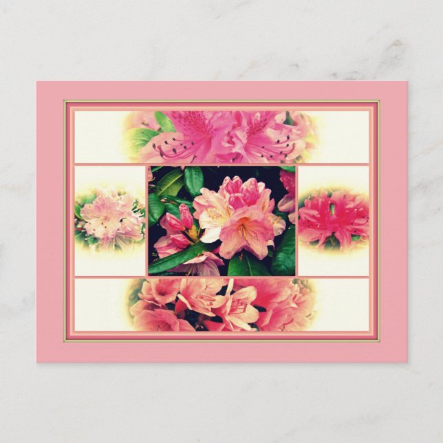Azaleas 1950's Style Postcard (Front)