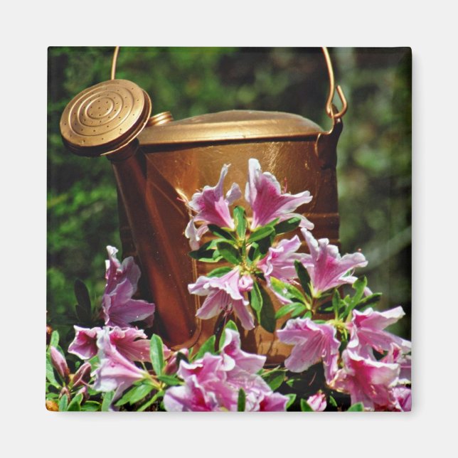 Azaleas and watering can  flowers magnet (Front)