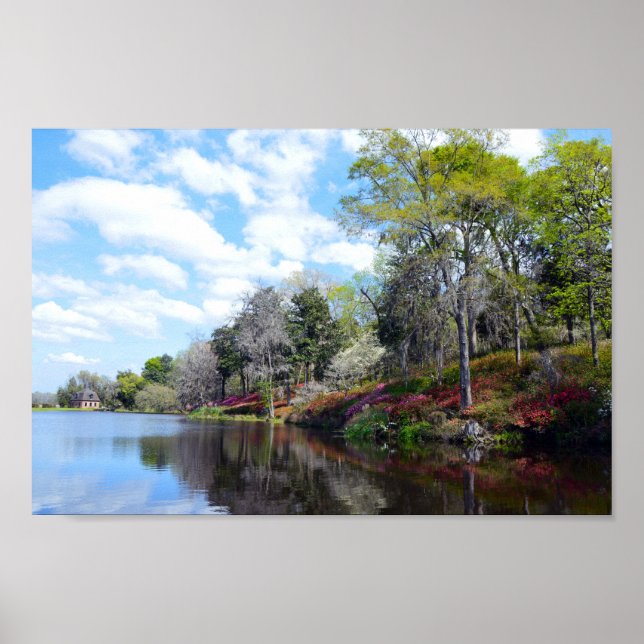 Azaleas At Rice Mill Pond Poster (Front)