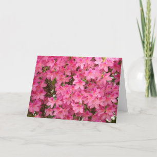 AZALEAS  Azalea Flowers GREETING CARDS CARD NOTE