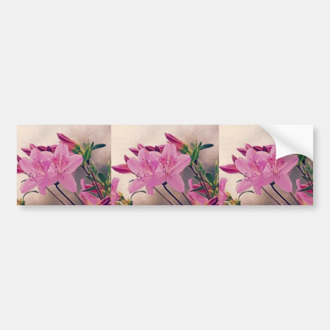 Azaleas Bumper Sticker (Front)