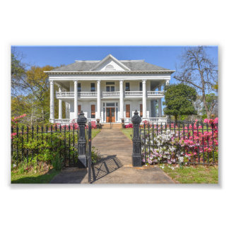 Azaleas Chilton-Lipstate-Taylor House Tyler Texas Photo Print