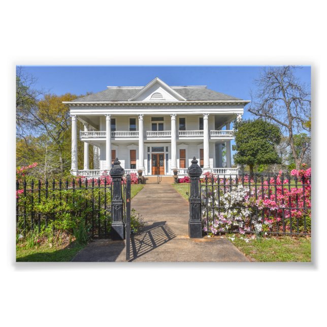 Azaleas Chilton-Lipstate-Taylor House Tyler Texas Photo Print (Front)