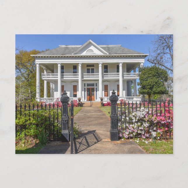 Azaleas Chilton-Lipstate-Taylor House Tyler Texas Postcard (Front)