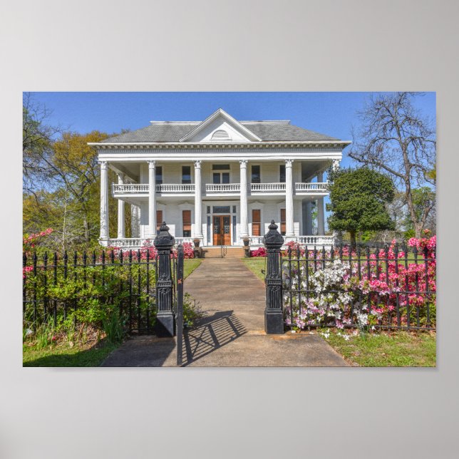 Azaleas Chilton-Lipstate-Taylor House Tyler Texas Poster (Front)