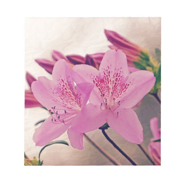 Azaleas Notepad (Front)