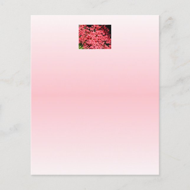 Azaleas. Pretty Pink Flowers. (Front)