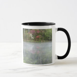 Azaleas relfecting in a pond during early mug