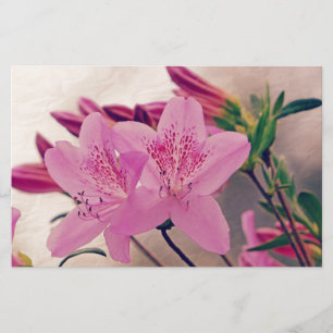 Azaleas Stationery