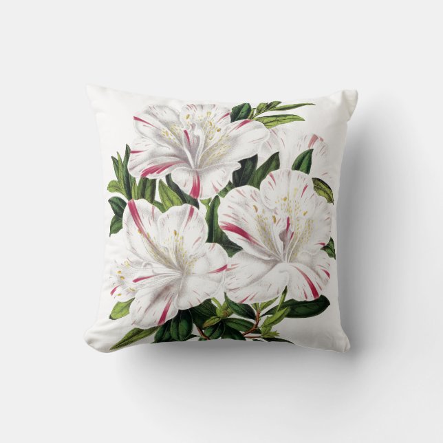 Azaleas vintage illustration cushion (Front)