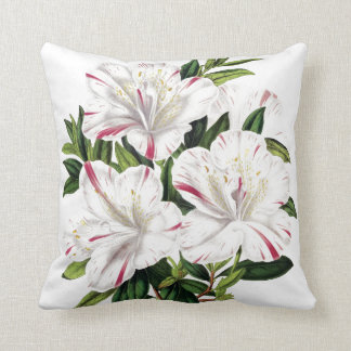 Azaleas vintage illustration cushion