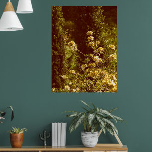 Azales shrub blooming photography poster