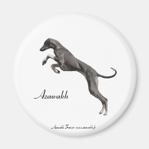Azawakh MAGNET 2