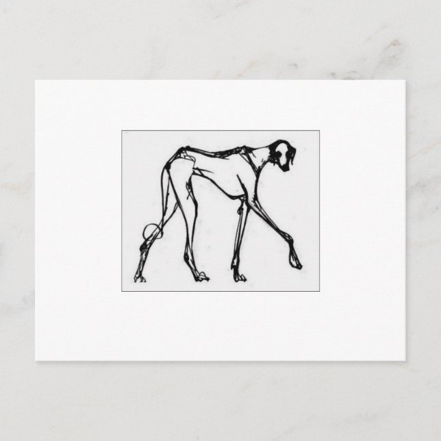 Azawakh Postcard 2 (Front)