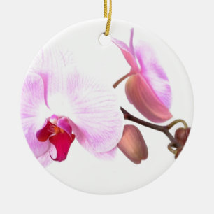 Aziza Orchid Blossoms Ceramic Ornament