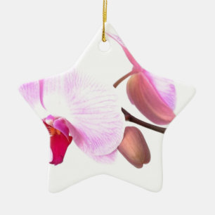 Aziza Orchid Blossoms Ceramic Ornament