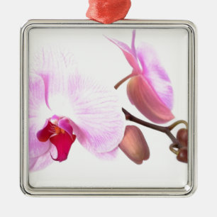 Aziza Orchid Blossoms Metal Ornament