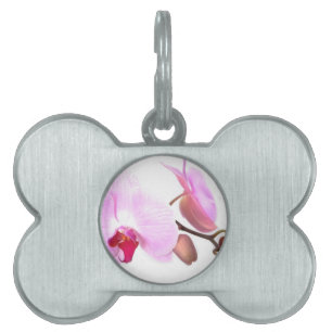 Aziza Orchid Blossoms Pet Tag