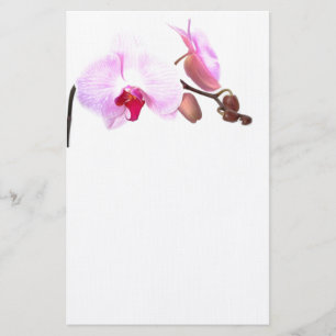 Aziza Orchid Blossoms Stationery