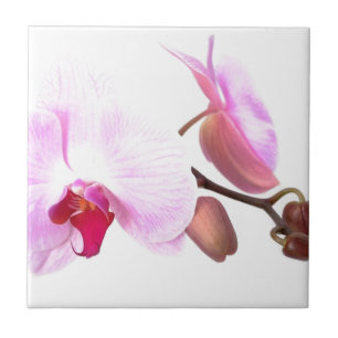 Aziza Orchid Blossoms Tile